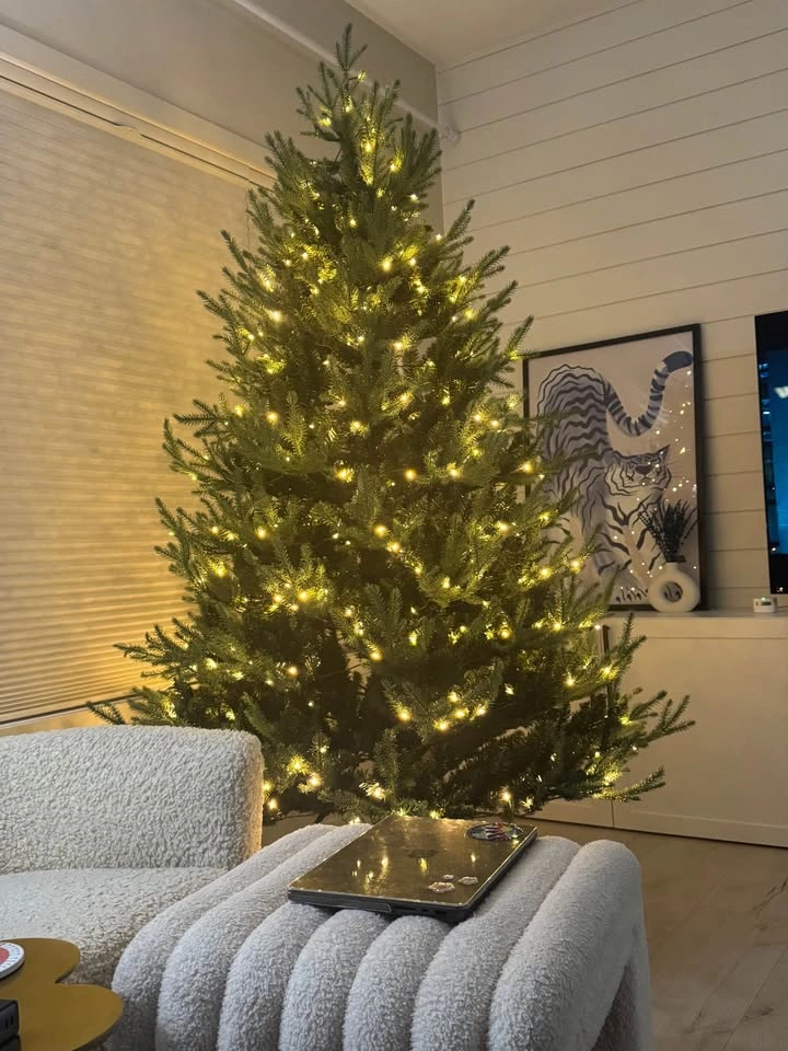 CANVAS Pre-Lit Noelle Fraser Upswept Christmas Tree, 500 LED - photo 5