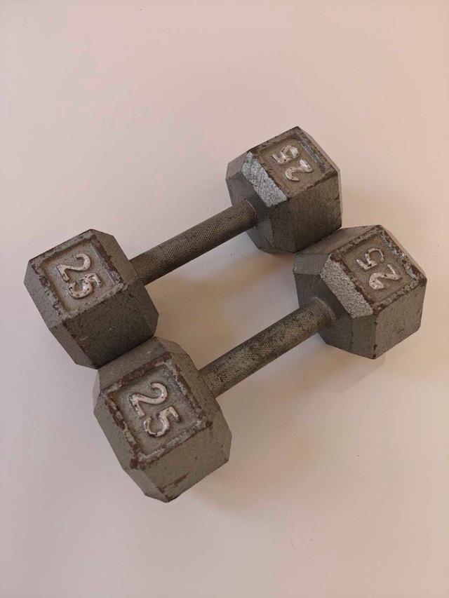 25lb dumbbells