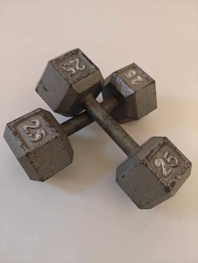25lb dumbbells - photo 2