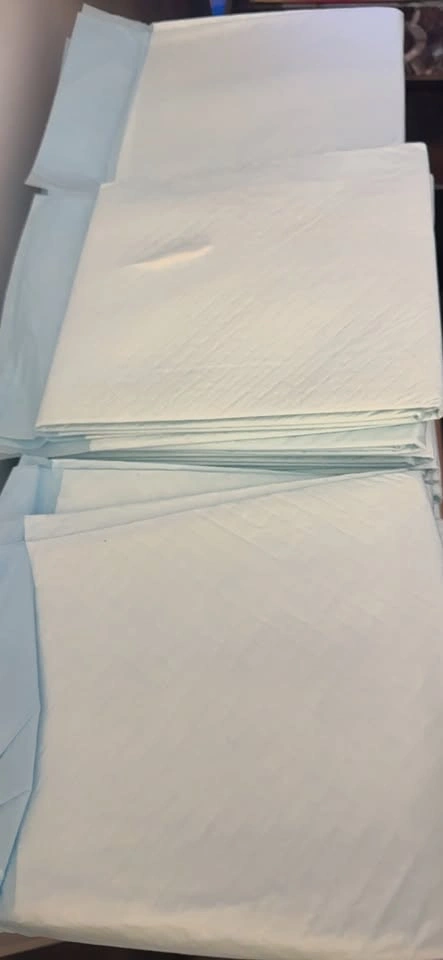 XL potty training pee pads - photo 3