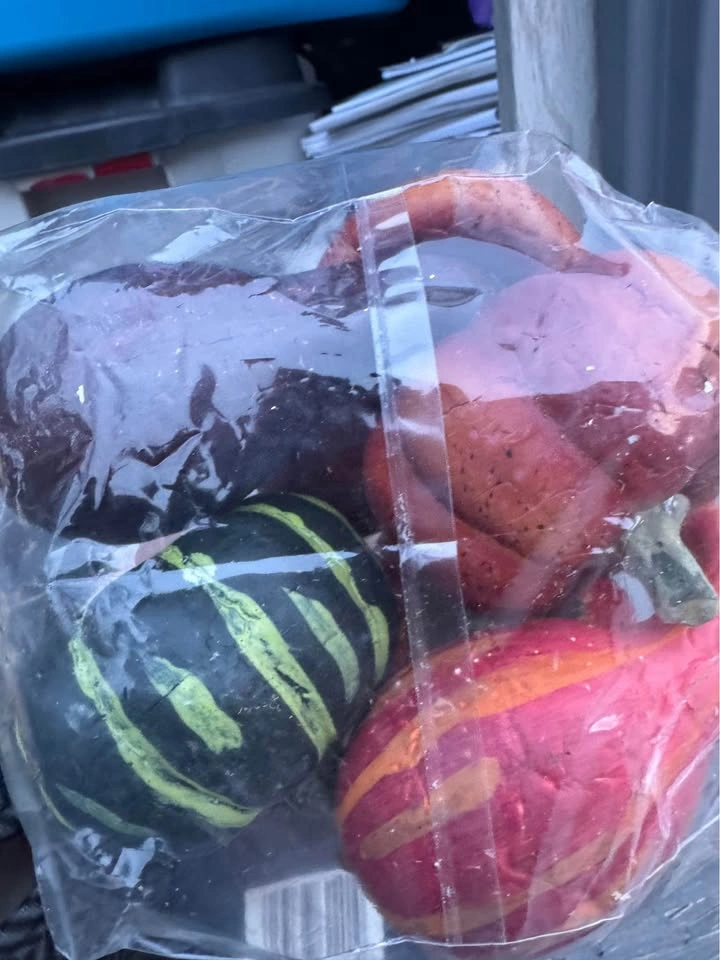 Fake Gourds 2 bundles - photo 3