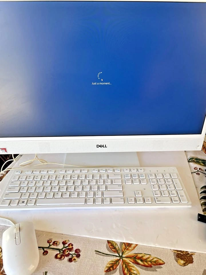 Dell Inspiron 3475 24" All-In-One Desktop PC Good Condition