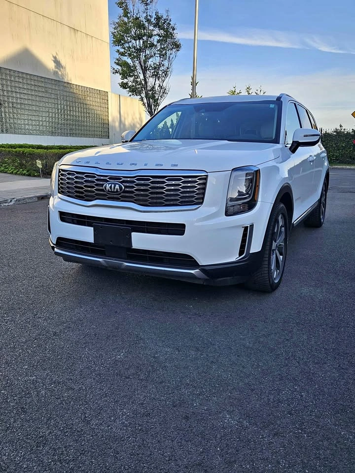 2020 Kia Telluride · EX