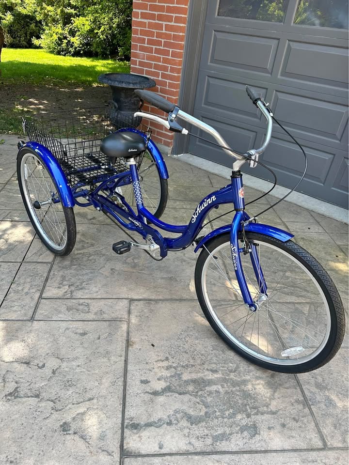 Schwinn Adult Tricycle