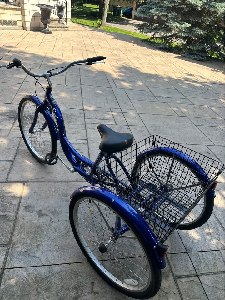 Schwinn Adult Tricycle - photo 5