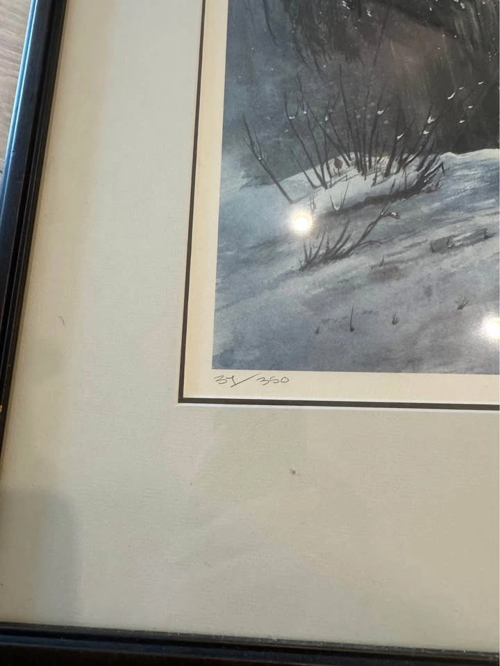 Limited Edition 34/350 Power of The Wolf Sue Coleman Painting - photo 2
