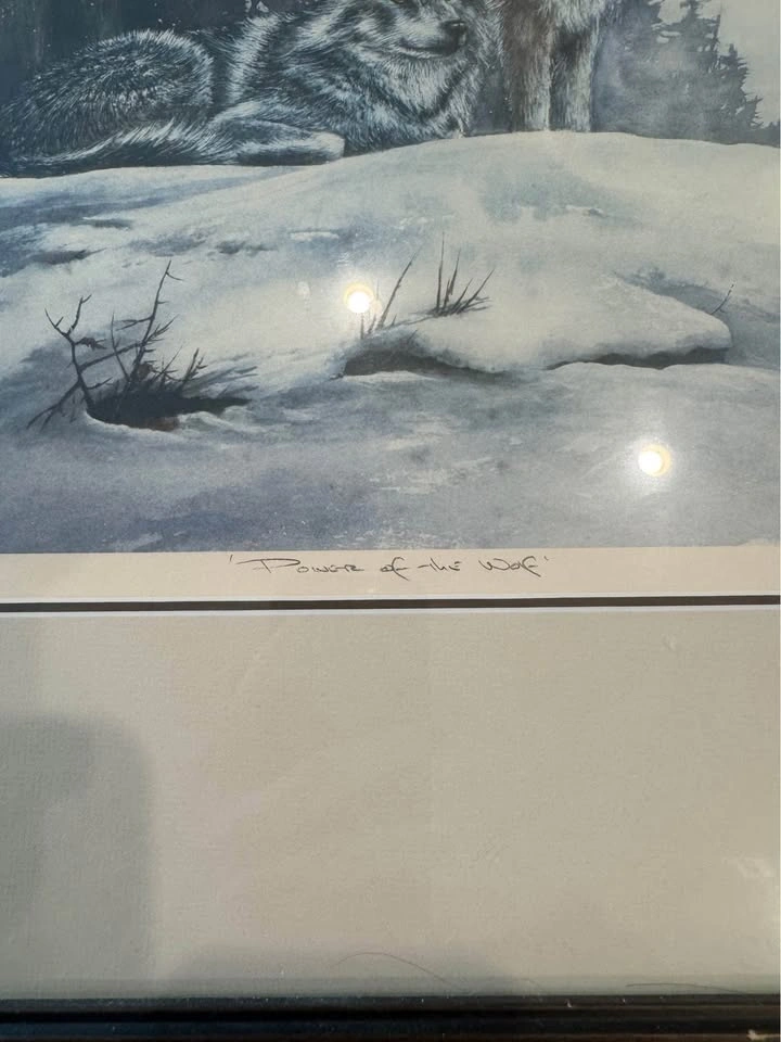 Limited Edition 34/350 Power of The Wolf Sue Coleman Painting - photo 3