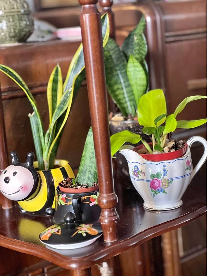 Looking for the perfect teacher’s gift? - photo 2