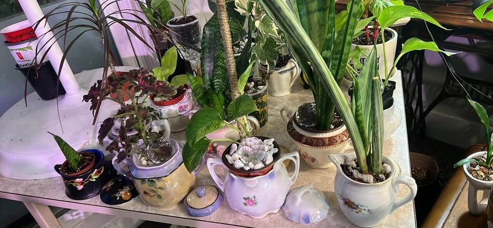 Looking for the perfect teacher’s gift? - photo 5