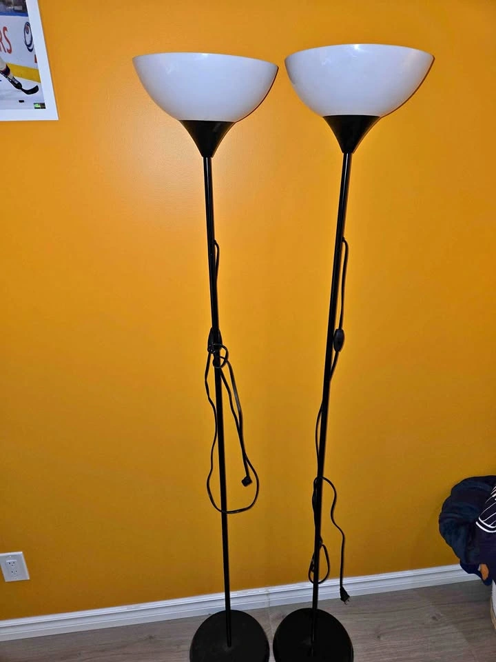 Pair of Black Floor Lamps