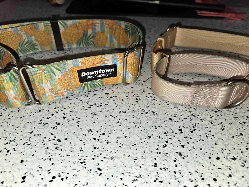 Downtown Pet Supply Martingale Dog Collars