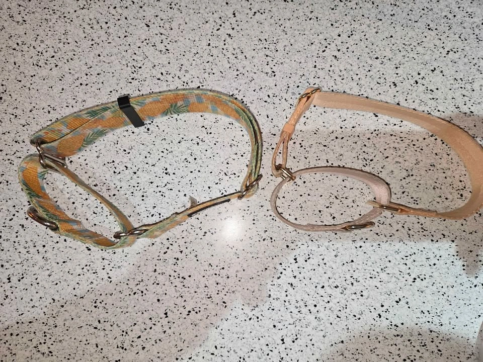 Downtown Pet Supply Martingale Dog Collars - photo 2