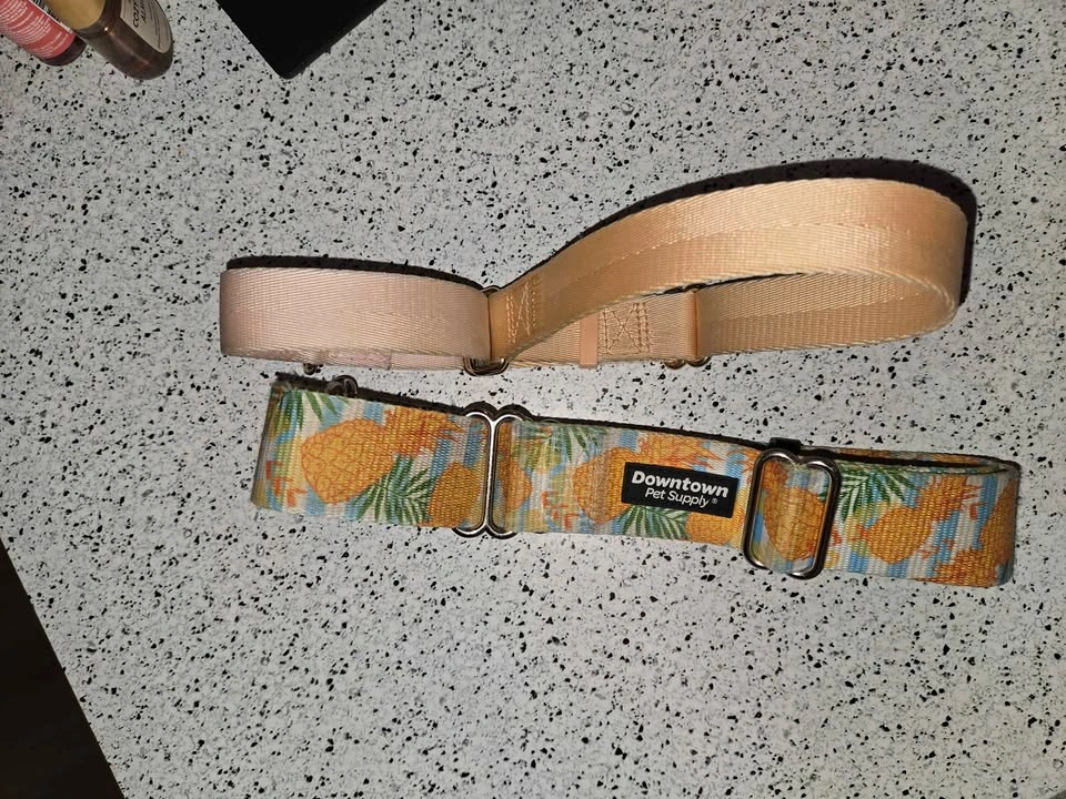 Downtown Pet Supply Martingale Dog Collars - photo 3