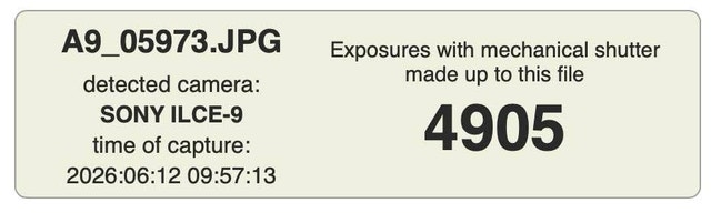 Sony A9 (ILCE-9) Full Frame Mirrorless Camera Body - photo 2