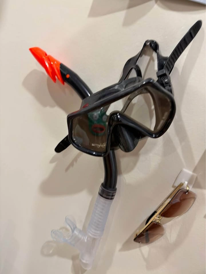 Snorkeling gear