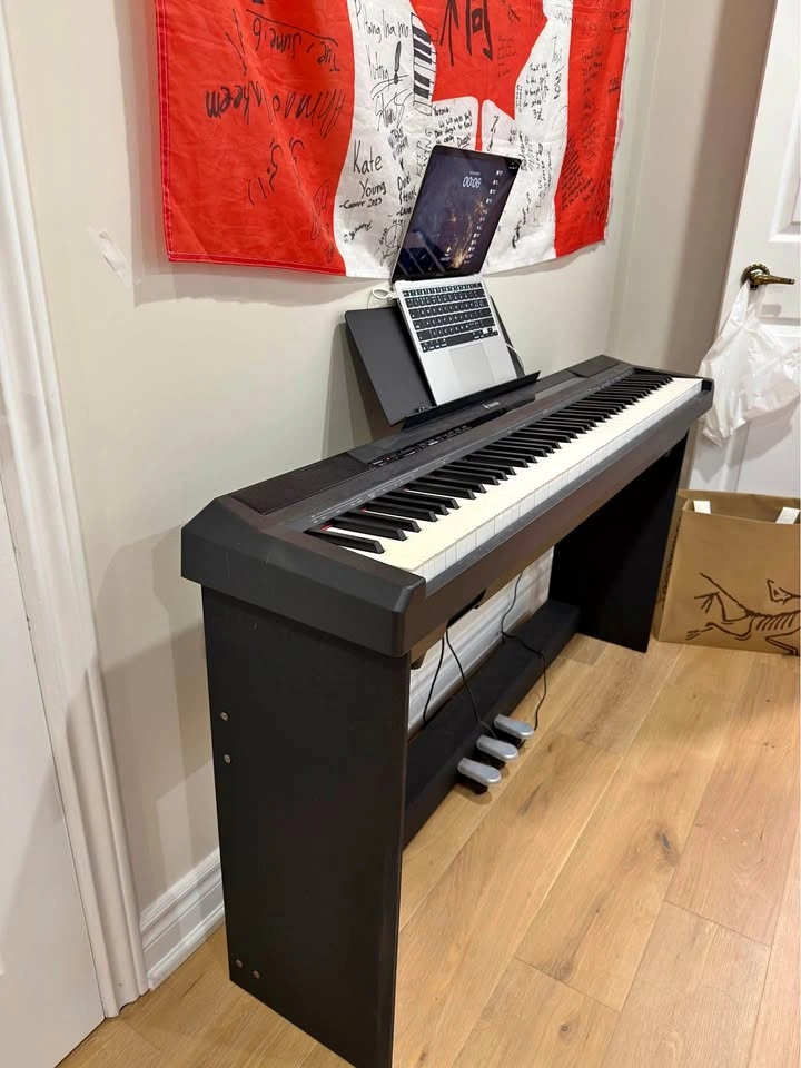 Donner digital piano 88 weighted key