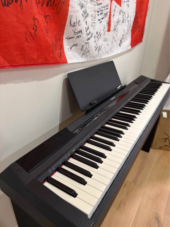Donner digital piano 88 weighted key - photo 2