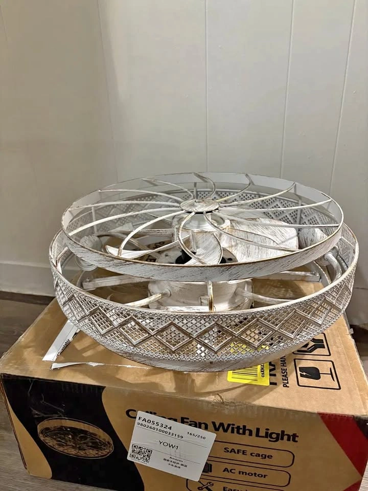 Caged Ceiling Fan Light