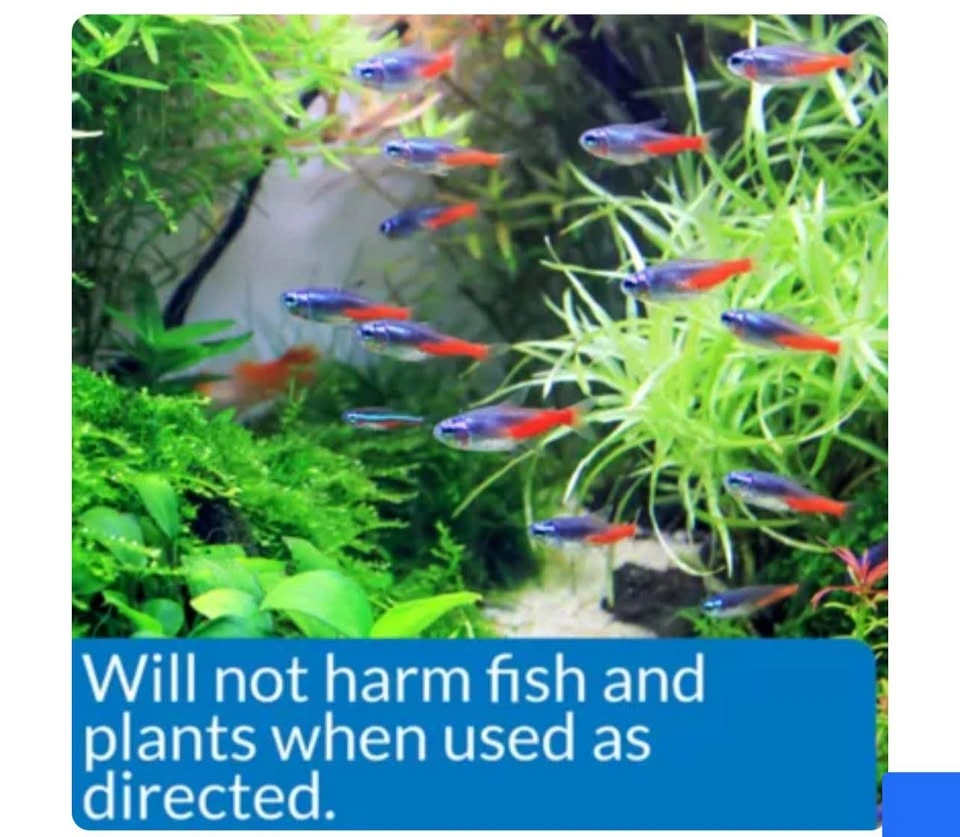 16oz API® Algaefix Aquarium Algae Control - photo 2