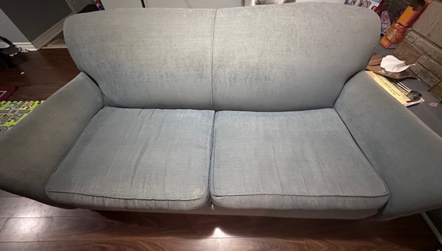 NEED GONE ! ROWE WAYFAIR sofa couch
