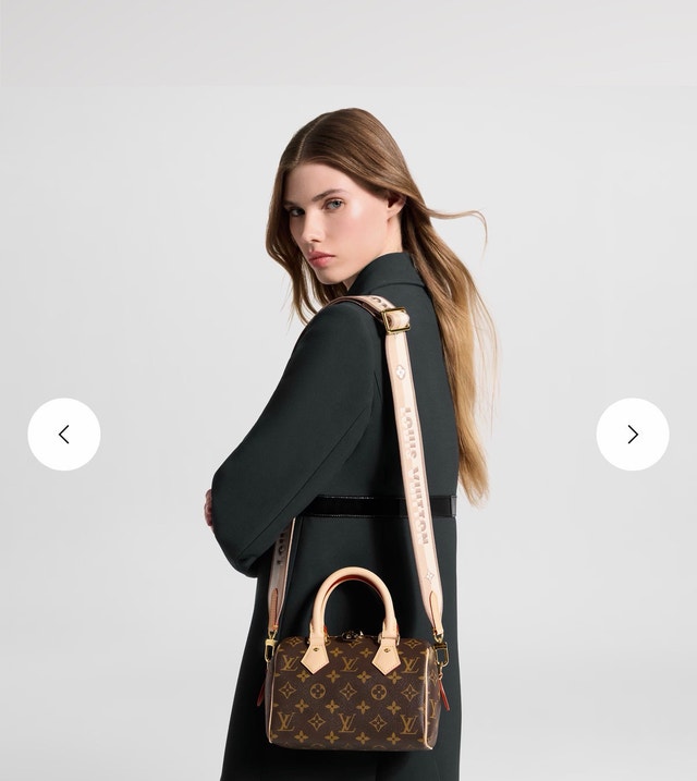 Louis Vuitton Speedy 20
