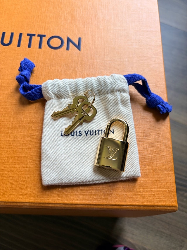 Louis Vuitton Speedy 20 - photo 4