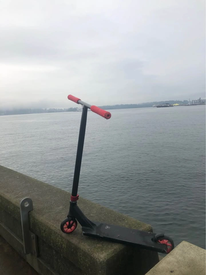 Professional Pandora Ethic Scooter - photo 2