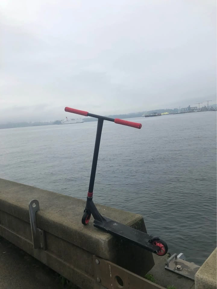 Professional Pandora Ethic Scooter - photo 4