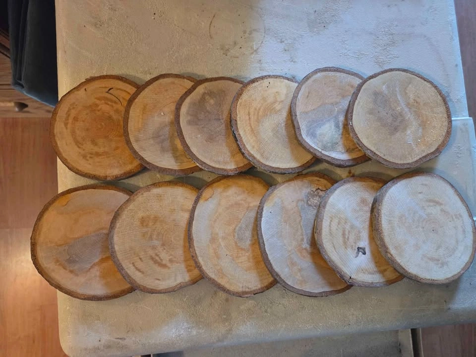 Wooden baby monthly milestone markers 1-12 months - photo 3