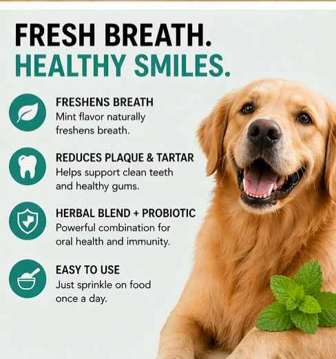 Doggy dental care supplement - photo 2