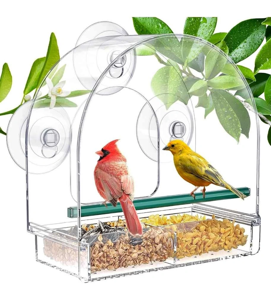 SUNALLY Clear Window Bird Feeder Suction Cup Mount