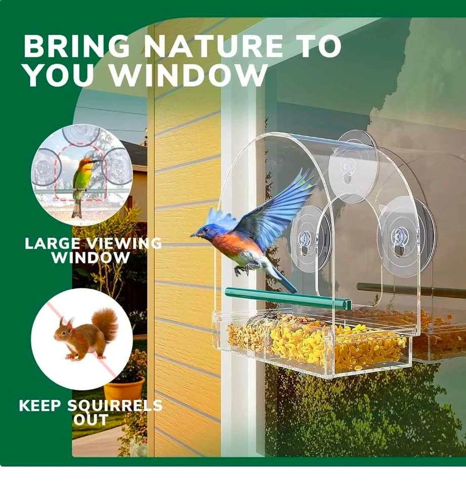 SUNALLY Clear Window Bird Feeder Suction Cup Mount - photo 5
