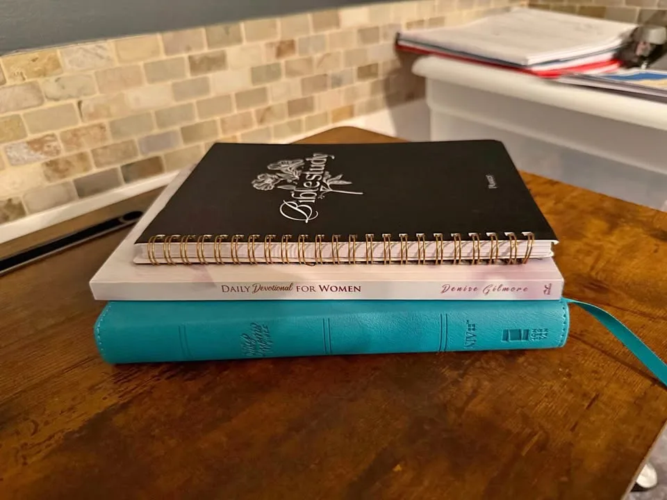 Bible, devotion, Bible study journal - take all 3 thumbnail