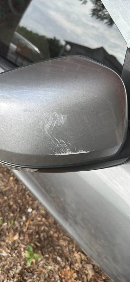 DURANGO FRONT PASSENGER DOOR - photo 3