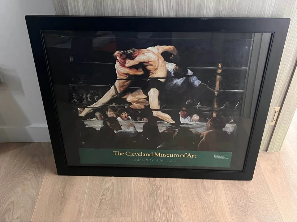 Boxer Framed Wall Art Piece - photo 3