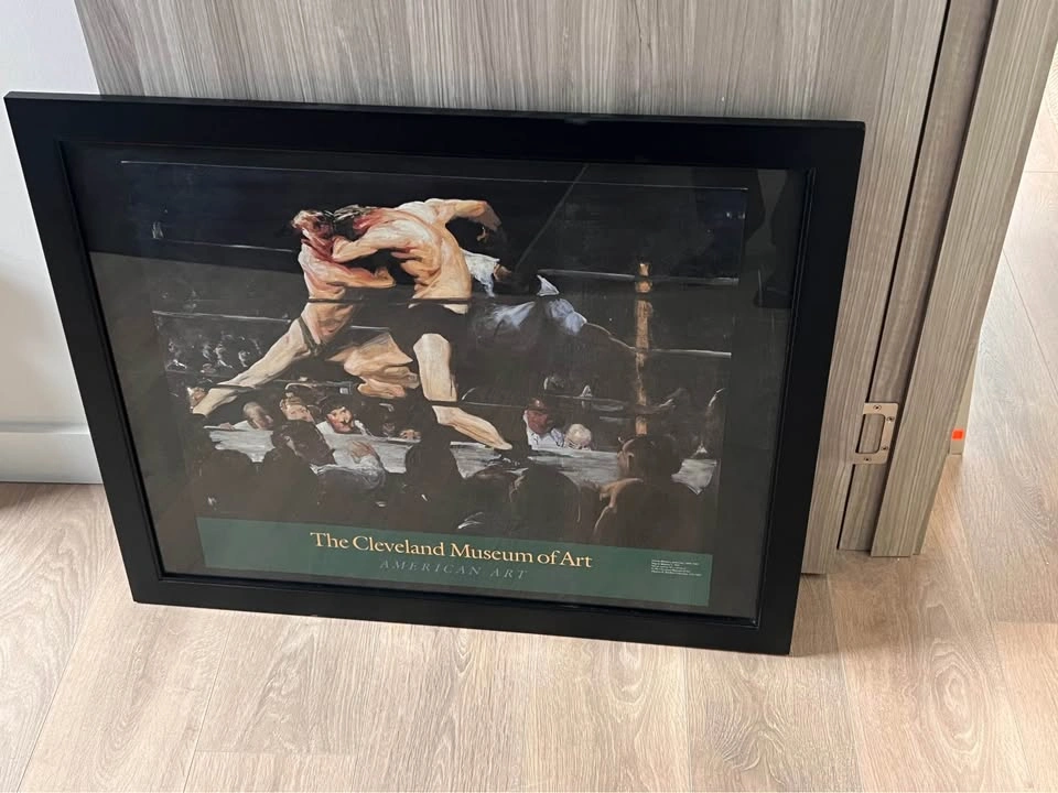 Boxer Framed Wall Art Piece - photo 4