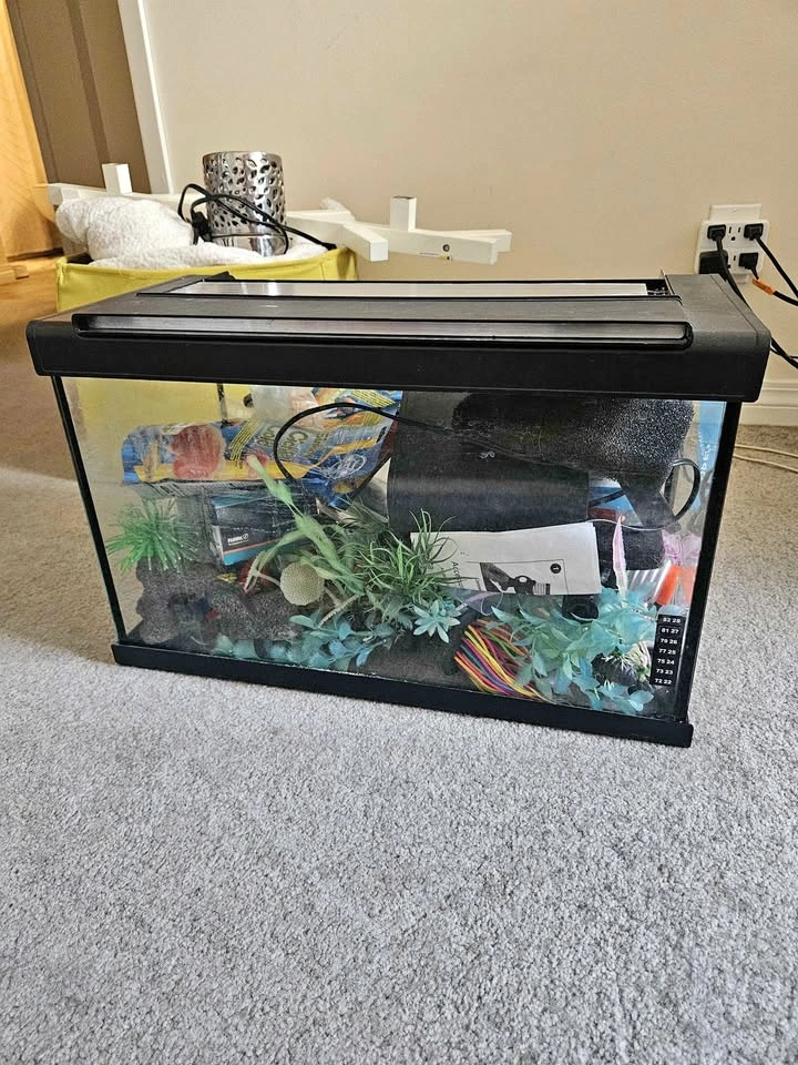 10 gallon tank w/ filter and accessories