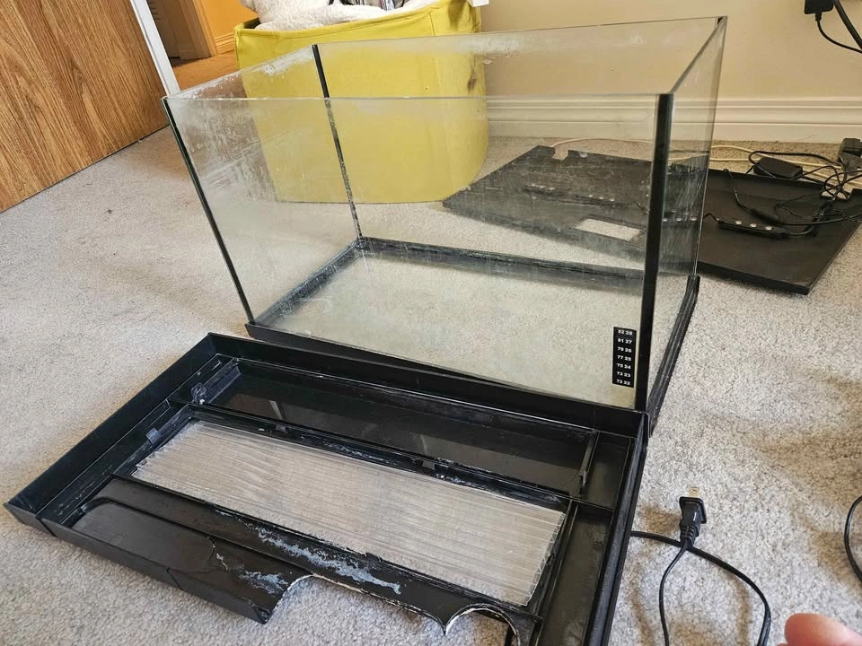 10 gallon tank w/ filter and accessories - photo 2