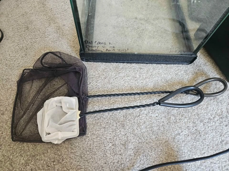 10 gallon tank w/ filter and accessories - photo 5
