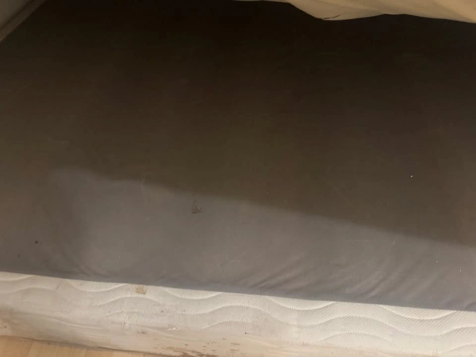 Queen size mattress and Box spring - photo 3