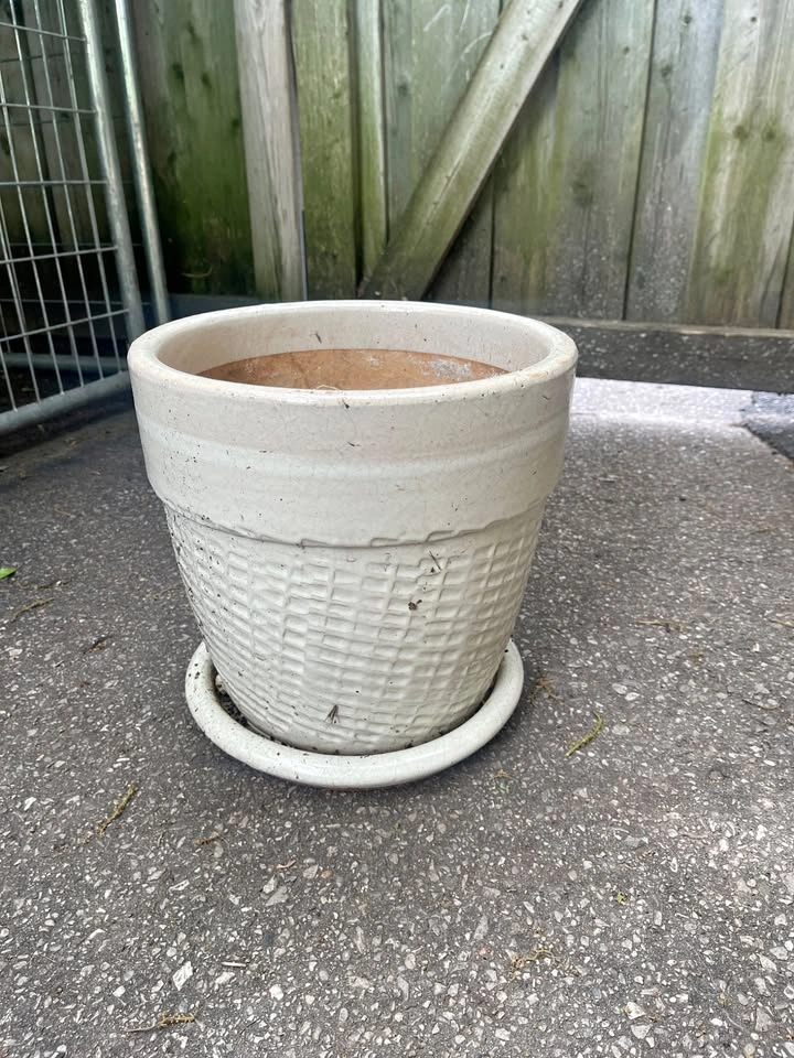 Indoor Plant Pot
