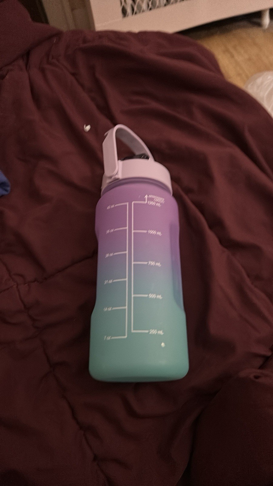 42 fl oz Purple-Blue Gradient Reusable Plastic Water Bottle