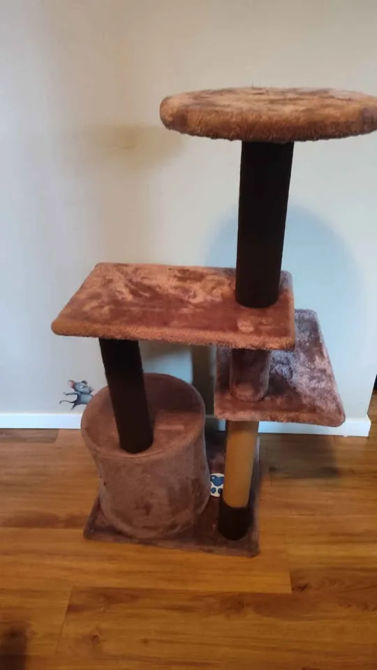 Cat tree image indicator(2)