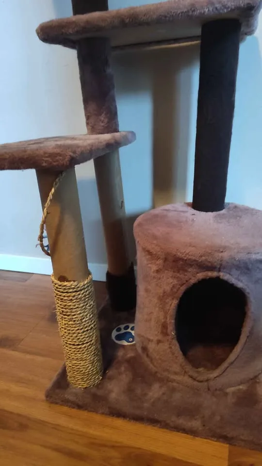 Cat tree image indicator(3)