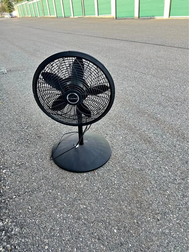 Large Electric Fan