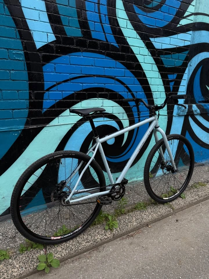 Raleigh XXIX 29er MTB / commuter - photo 3