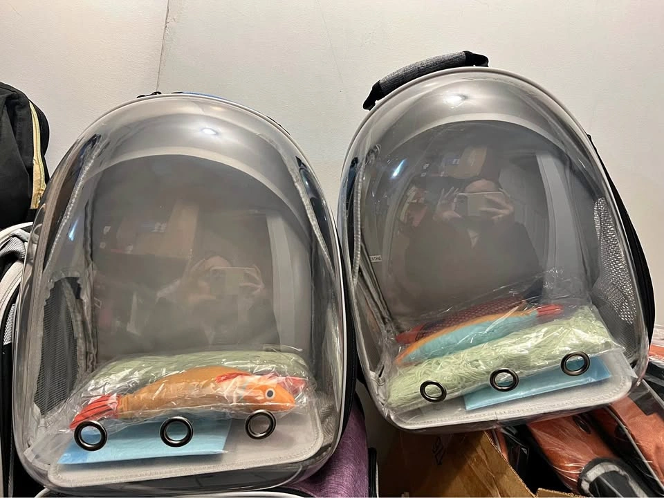 Pet carrier backpack, cat toy, and pet training pad