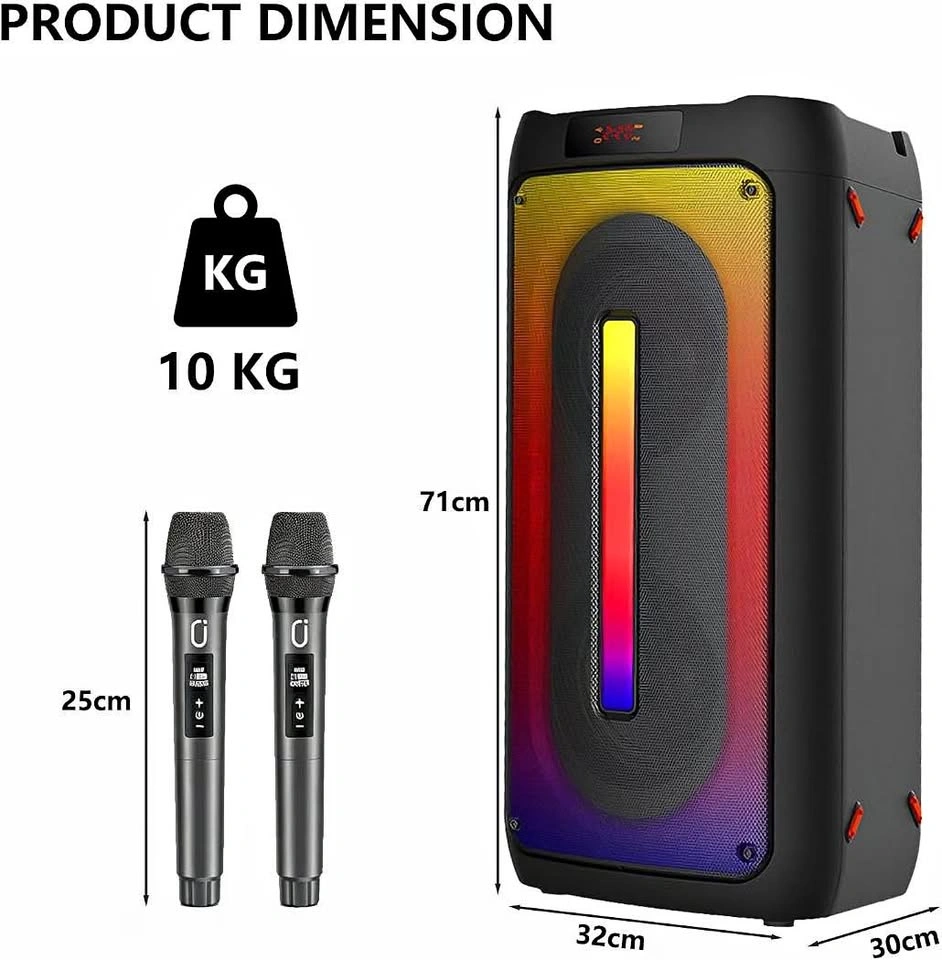 2 Mic Karaoke System (LED Lights, Powerful Sound, Wireless)