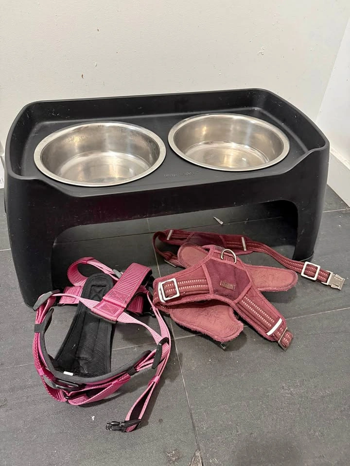 Dog bowl set