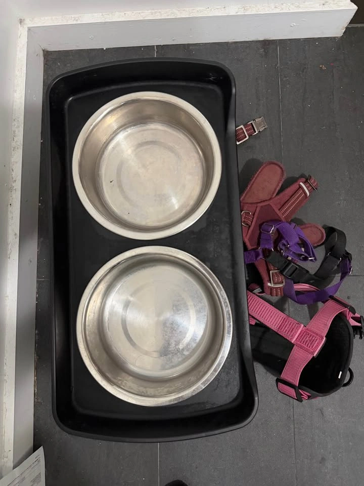 Dog bowl set - photo 3